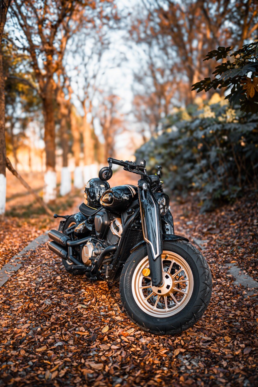 Benda Napoleon 500 Bobber, Phân Phối Chính Hãng, Giá Rẻ Tại Bắc Ninh