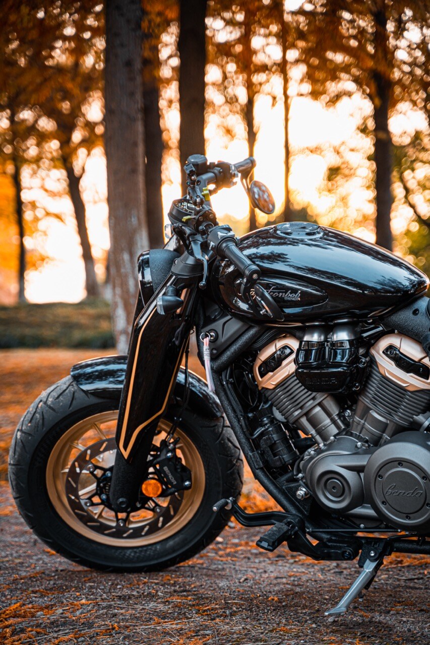 Benda Napoleon 500 Bobber, Phân Phối Chính Hãng, Giá Rẻ Tại Bắc Ninh